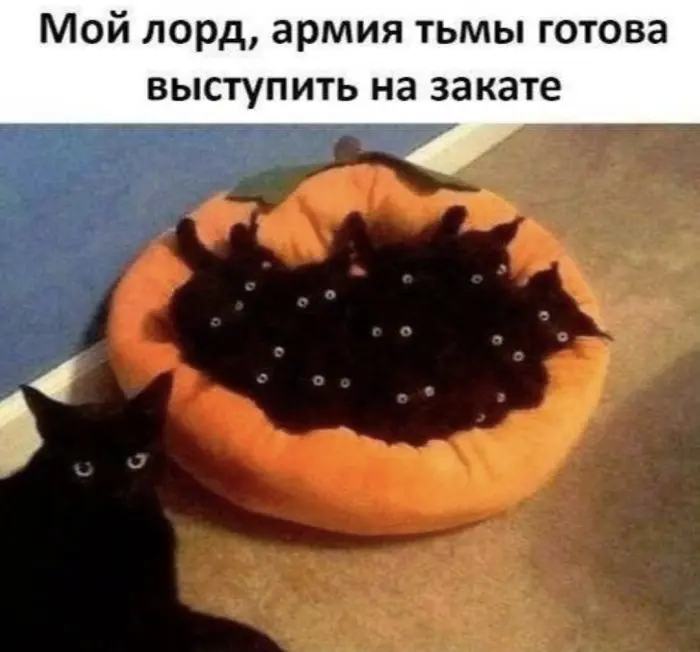 Маленькая пятница уже здесь: поднимаем настроение в середине недели