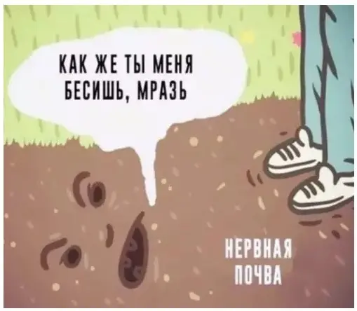 Маленькая пятница уже здесь: поднимаем настроение в середине недели