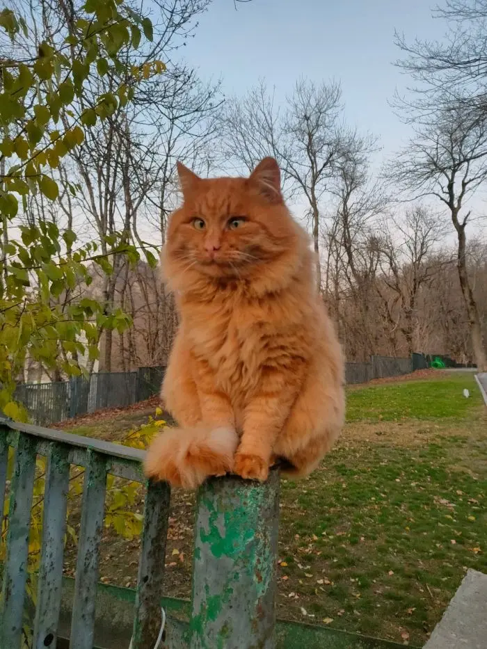 Маленькая пятница уже здесь: поднимаем настроение в середине недели