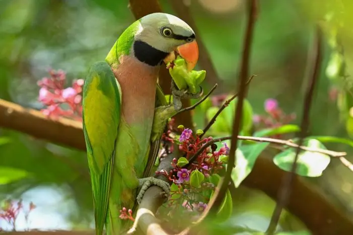 Маленькая пятница уже здесь: поднимаем настроение в середине недели