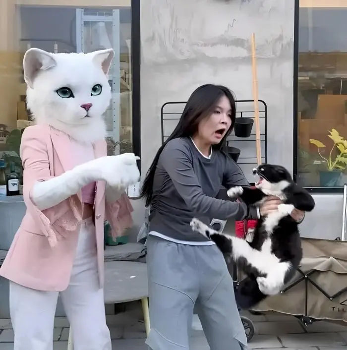 Маленькая пятница уже здесь: поднимаем настроение в середине недели