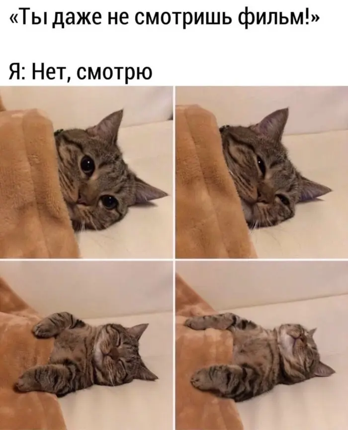 Маленькая пятница уже здесь: поднимаем настроение в середине недели