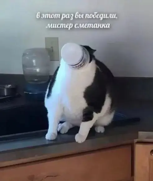 Маленькая пятница уже здесь: поднимаем настроение в середине недели