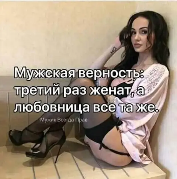 Коротко и ясно: сборник ироничных историй из жизни