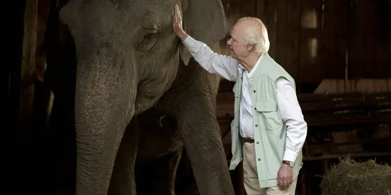 8 скандинавских фильмов, которые вы могли пропустить