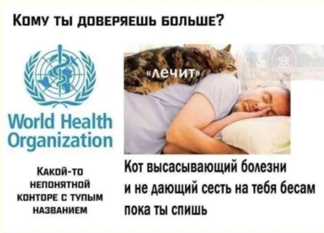 Странные идеи и гениальные случайности в одной подборке