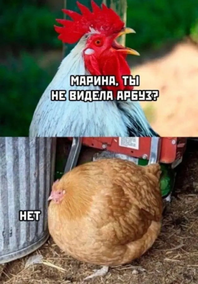 Странные идеи и гениальные случайности в одной подборке