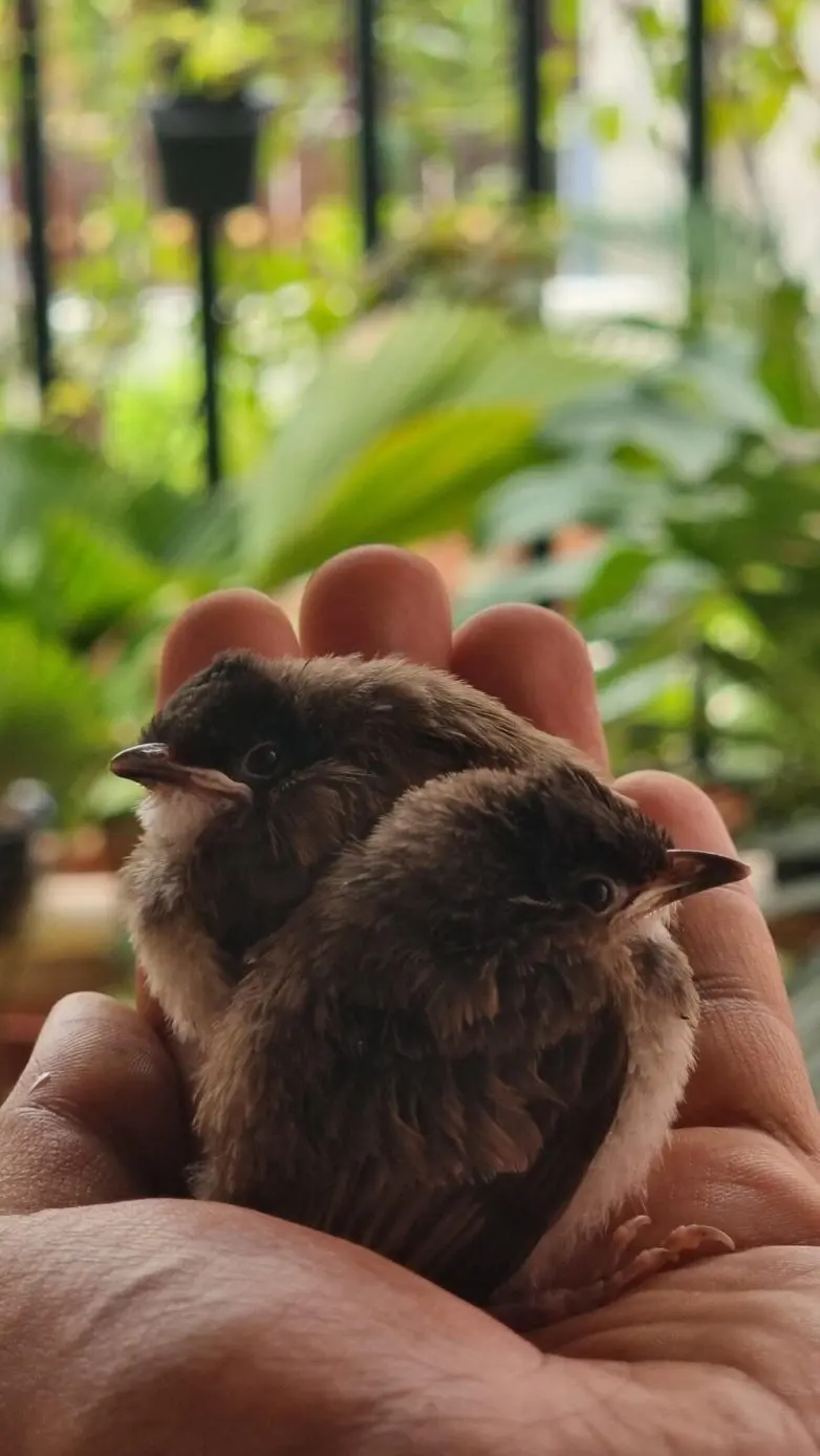 Животные, которые живут по своим законам: подборка трогательных и забавных фото