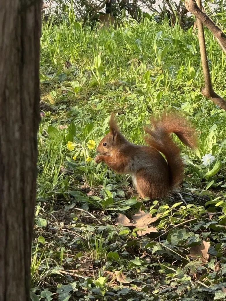 Животные, которые живут по своим законам: подборка трогательных и забавных фото