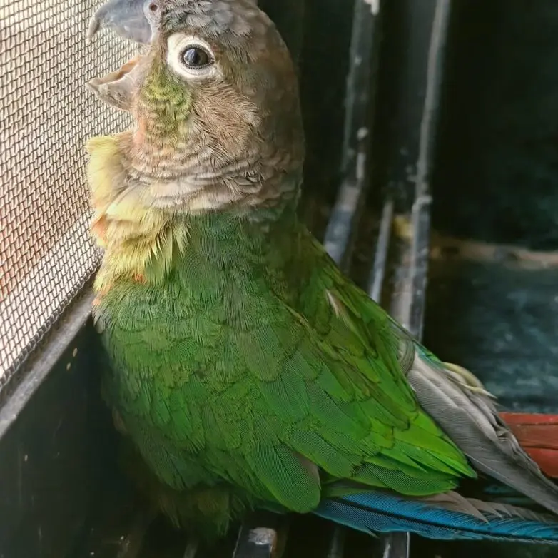 Животные, которые живут по своим законам: подборка трогательных и забавных фото