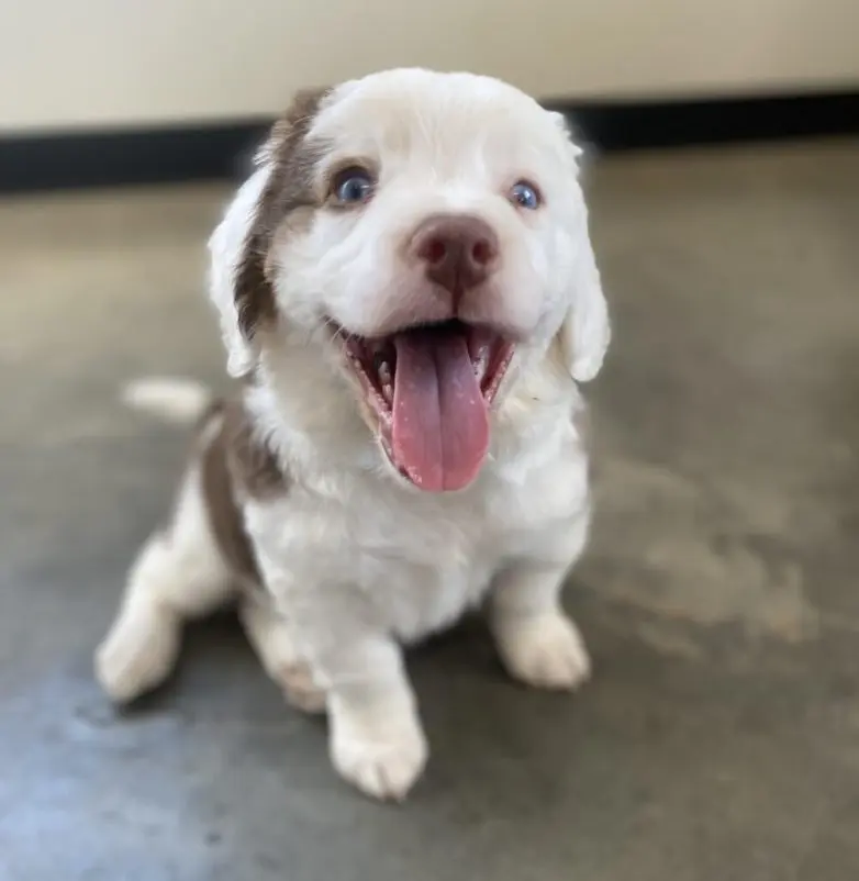 Животные, которые живут по своим законам: подборка трогательных и забавных фото