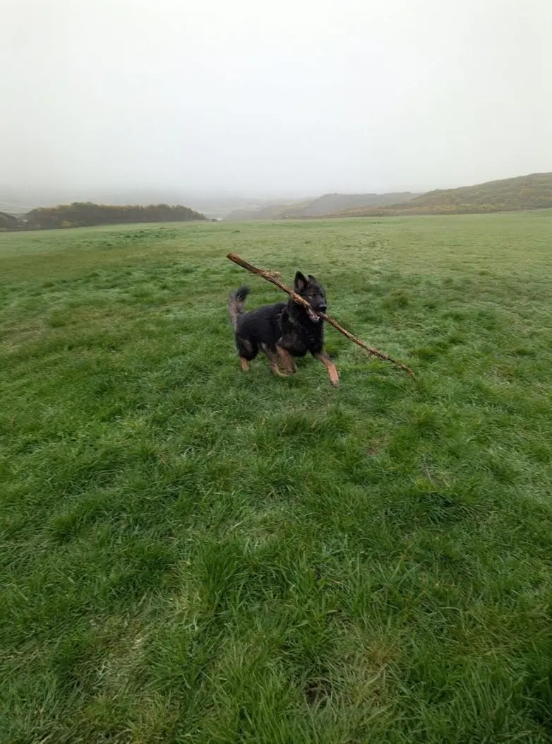 Животные, которые живут по своим законам: подборка трогательных и забавных фото