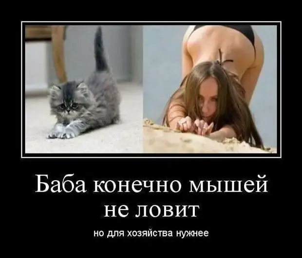 Забавные картинки и анекдоты для хорошего настроения