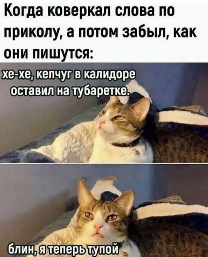 Свежая порция отличного настроения: лучшие мемы и комментарии из соцсетей