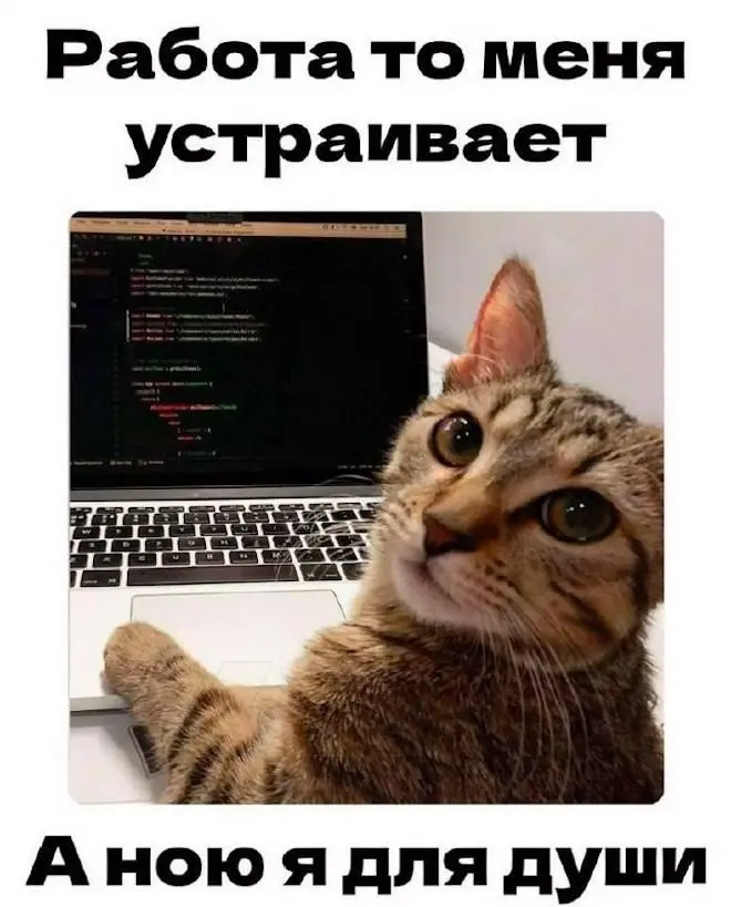 Свежая порция отличного настроения: лучшие мемы и комментарии из соцсетей