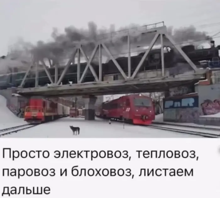 Свежая порция отличного настроения: лучшие мемы и комментарии из соцсетей