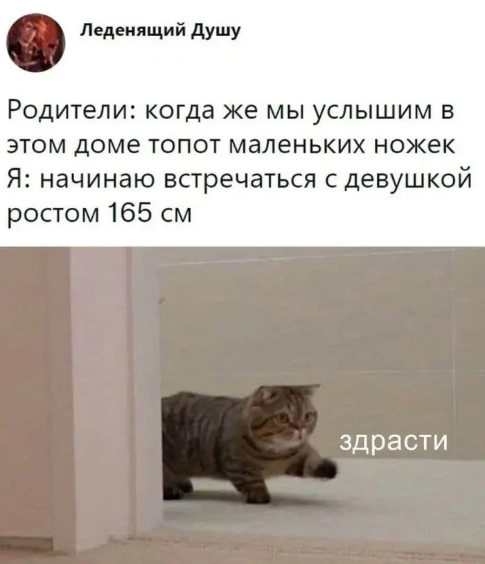 Свежая порция отличного настроения: лучшие мемы и комментарии из соцсетей