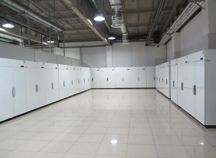 Холодильные шкафы с глухими дверями: надежное решение для бизнеса