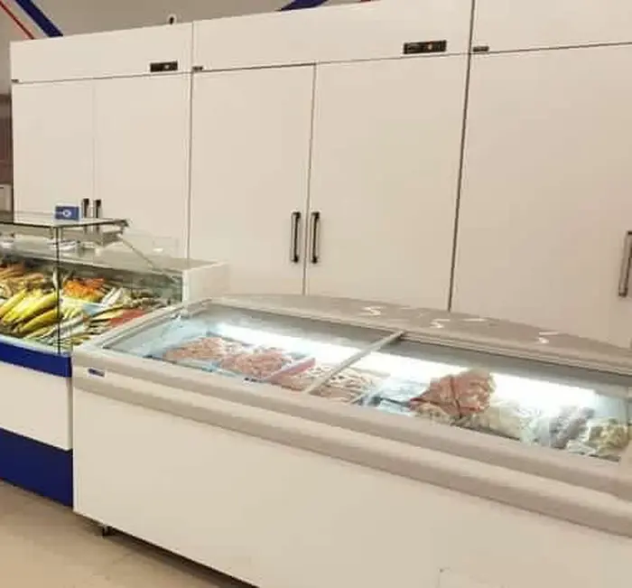 Холодильные шкафы с глухими дверями: надежное решение для бизнеса