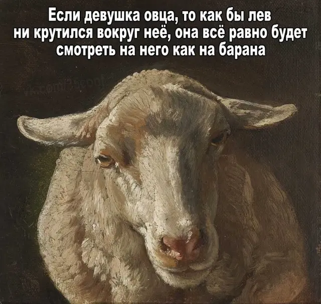 Свежая порция мемов: смех до слёз гарантирован