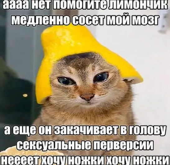 Свежая порция мемов: смех до слёз гарантирован