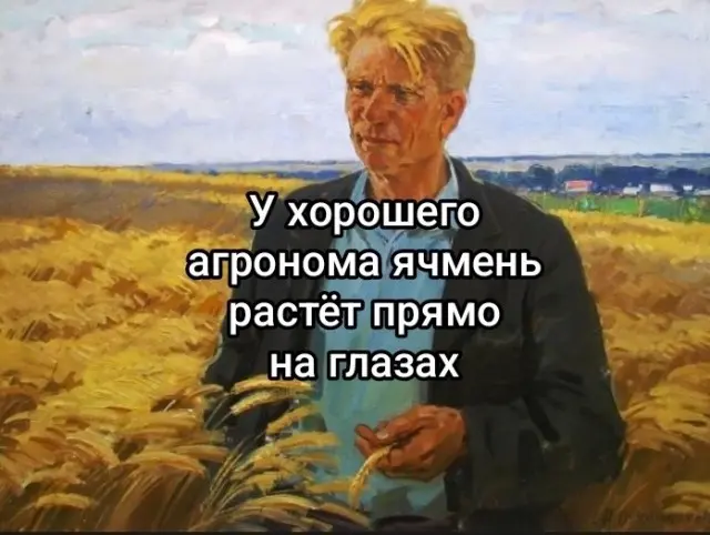 Свежая порция мемов: смех до слёз гарантирован