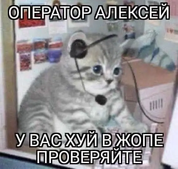 Свежая порция мемов: смех до слёз гарантирован