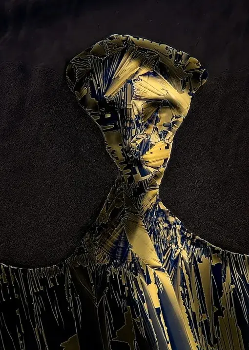 Невидимая красота: удивительные фотографии микромира