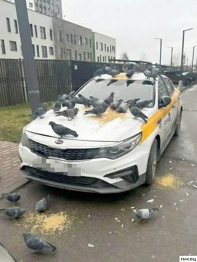 Автомобильная месть: самые изобретательные способы насолить автовладельцу