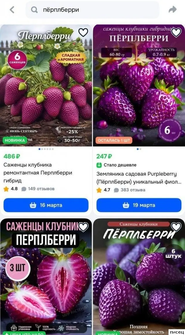 На что только не пойдут: самые отчаянные рекламные приколы