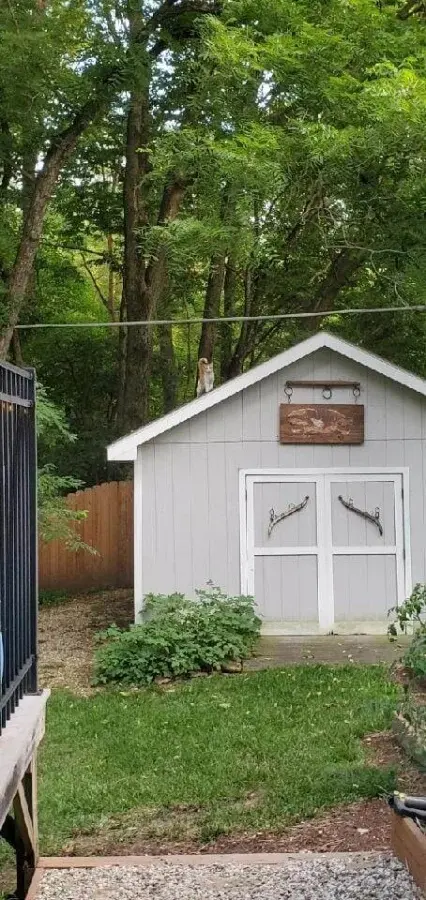 Нежданные гости: 22 фото чужих котов, которые пришли в гости как к себе домой