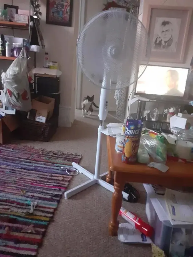 Нежданные гости: 22 фото чужих котов, которые пришли в гости как к себе домой