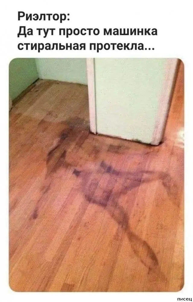 Свежая порция интернет-приколов для поднятия настроения