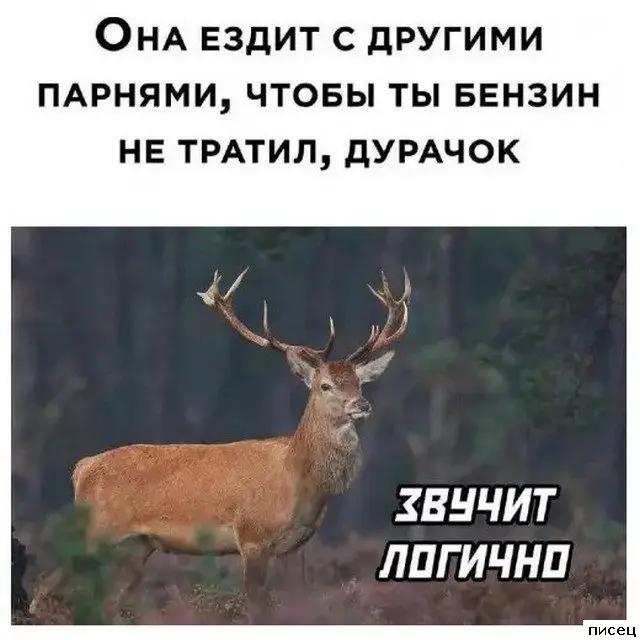 Свежая порция интернет-приколов для поднятия настроения