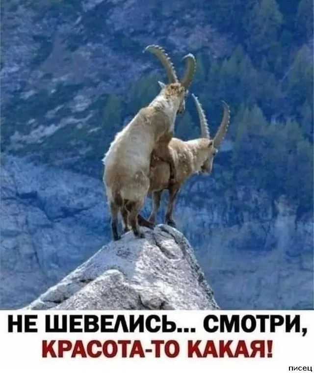 Свежая порция интернет-приколов для поднятия настроения