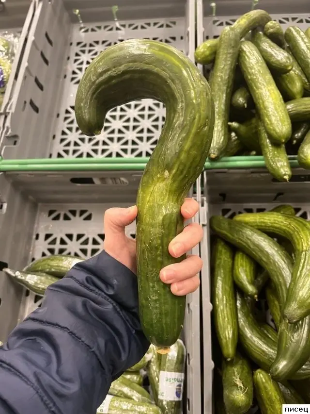 Свежая порция интернет-приколов для поднятия настроения