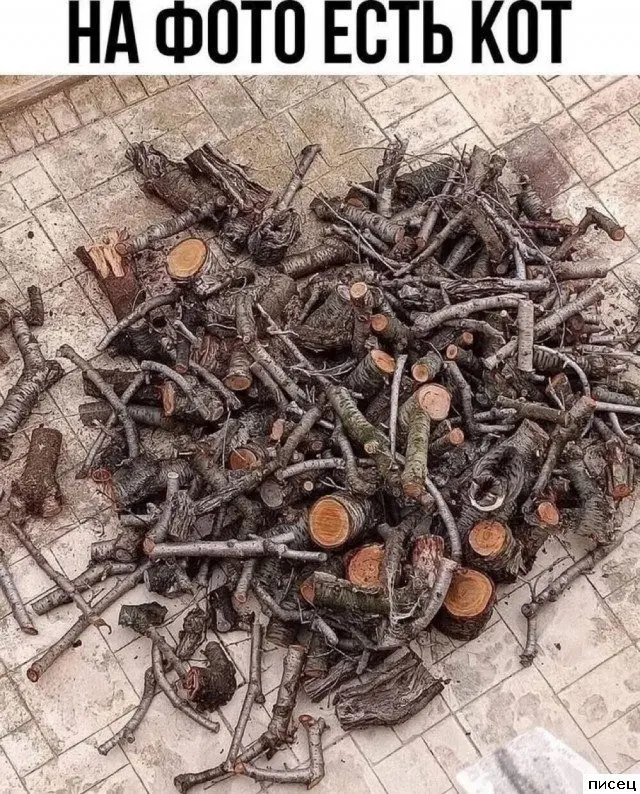 Свежая порция интернет-приколов для поднятия настроения