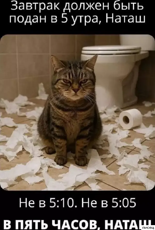 Свежая порция интернет-приколов для поднятия настроения