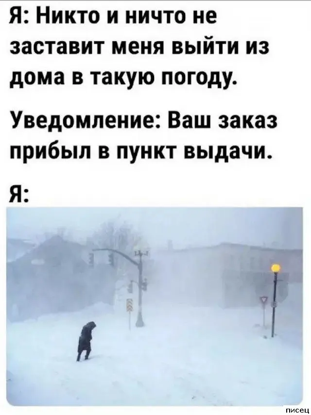 Свежая порция интернет-приколов для поднятия настроения