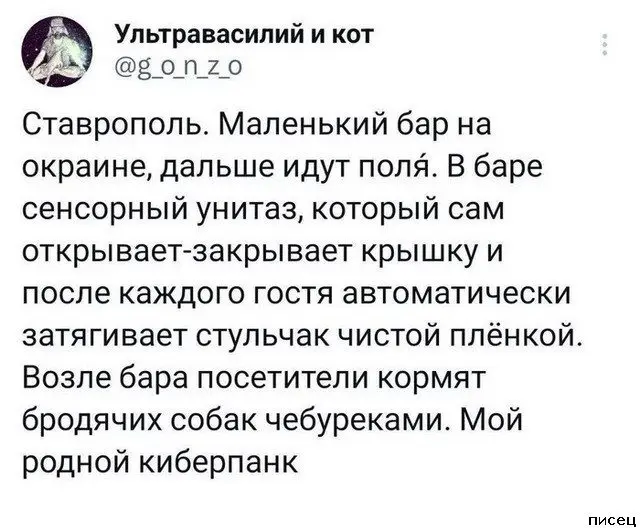 Безумные перлы: подборка самых смешных комментариев из соцсетей