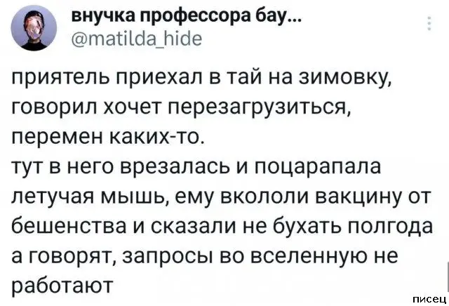 Безумные перлы: подборка самых смешных комментариев из соцсетей
