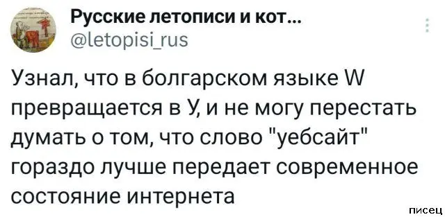 Безумные перлы: подборка самых смешных комментариев из соцсетей