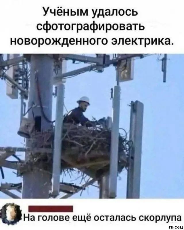 Безумные перлы: подборка самых смешных комментариев из соцсетей