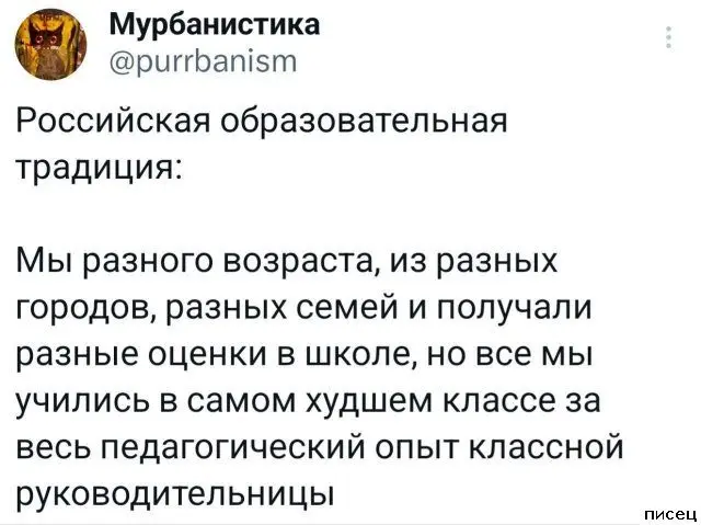 Безумные перлы: подборка самых смешных комментариев из соцсетей