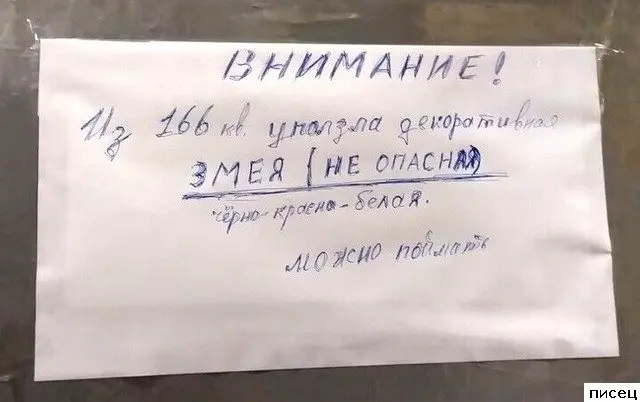 Соседские приколы: не смейтесь слишком громко!