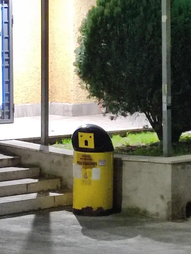 Удивленное растение