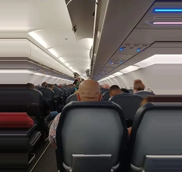 Собака отдыхает