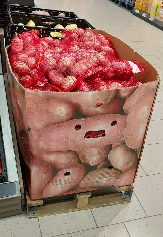 Дерево похоже на слона