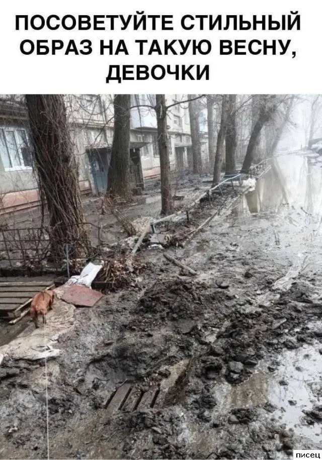 Женский юмор: неповторимая и обворожительная реальность в картинках