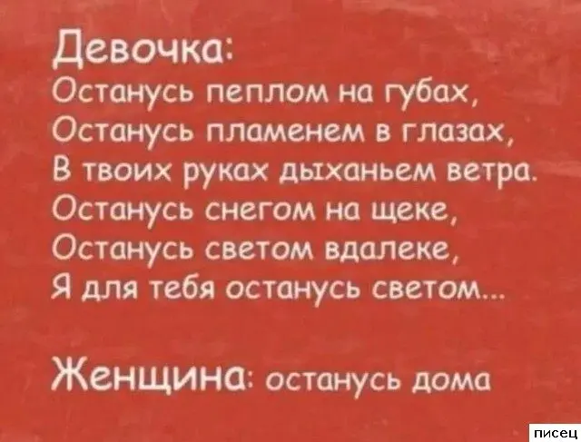 Женский юмор: неповторимая и обворожительная реальность в картинках